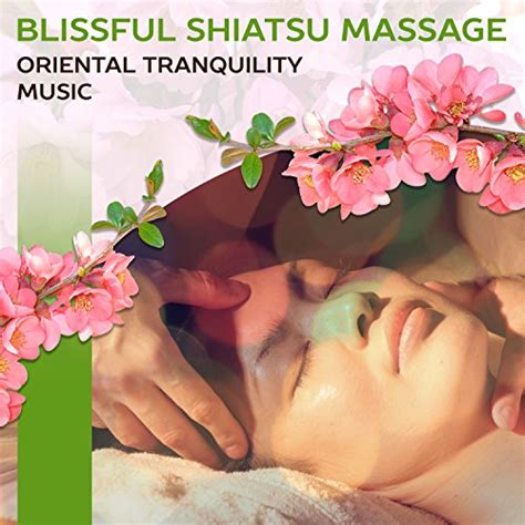 Erotic massage Tanashicho