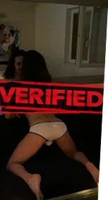 Veronica ass Find a prostitute Sao Joao da Pesqueira