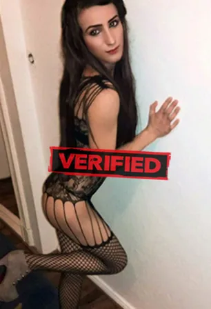 Alexa sexmachine Prostitute Canidelo